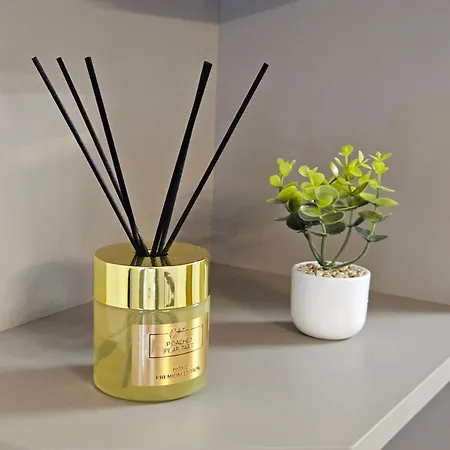 Bs Center 苏博蒂察