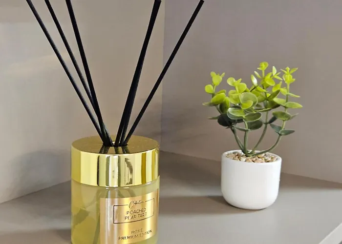 Bs Center 苏博蒂察